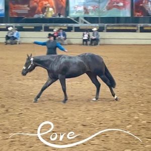 Meet your Posher, Patti